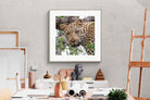 Pixalot ® Wild Gaze
