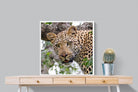Pixalot ® Wild Gaze