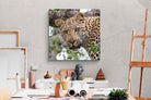Pixalot ® Wild Gaze