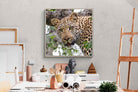 Pixalot ® Wild Gaze