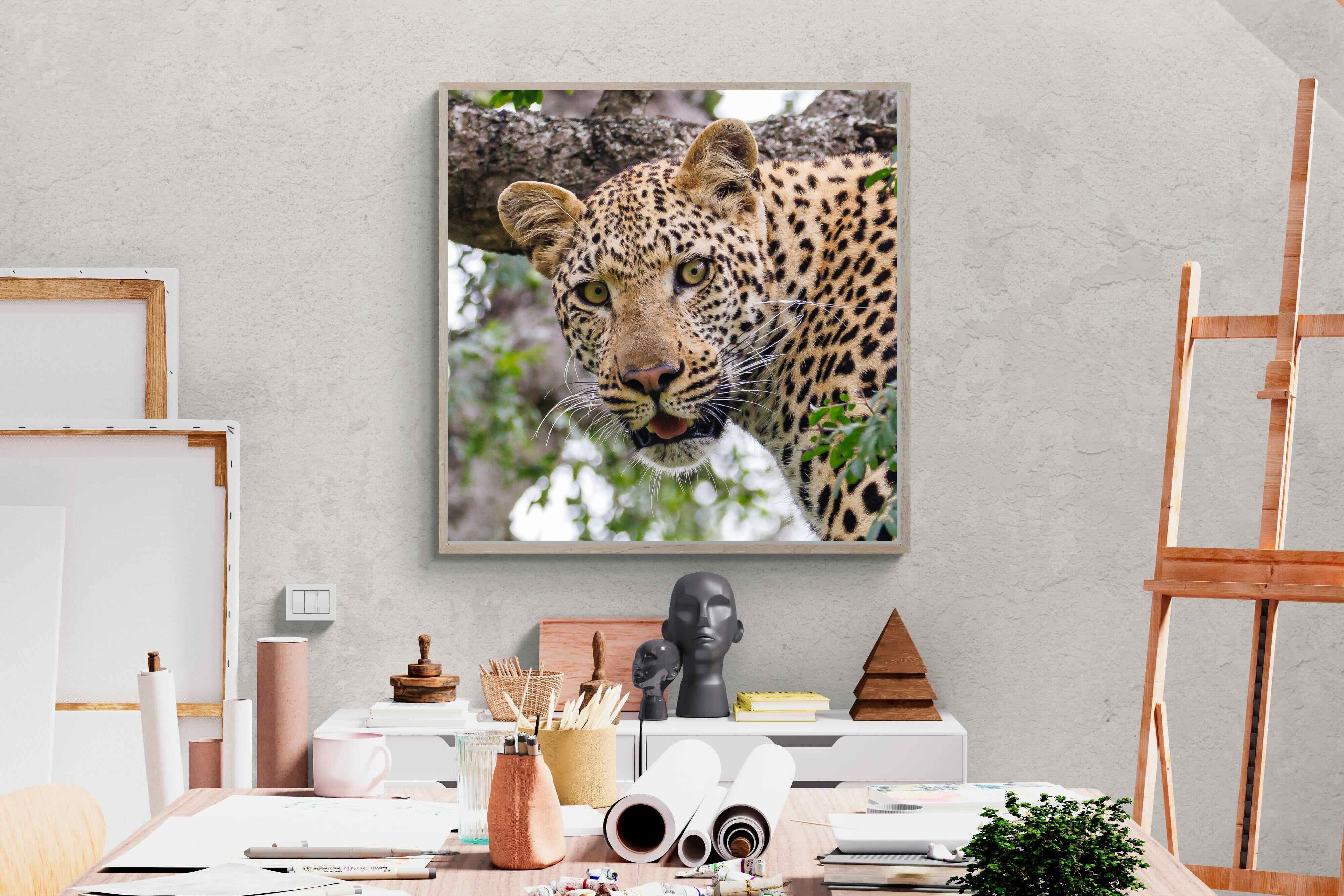 Pixalot ® Wild Gaze