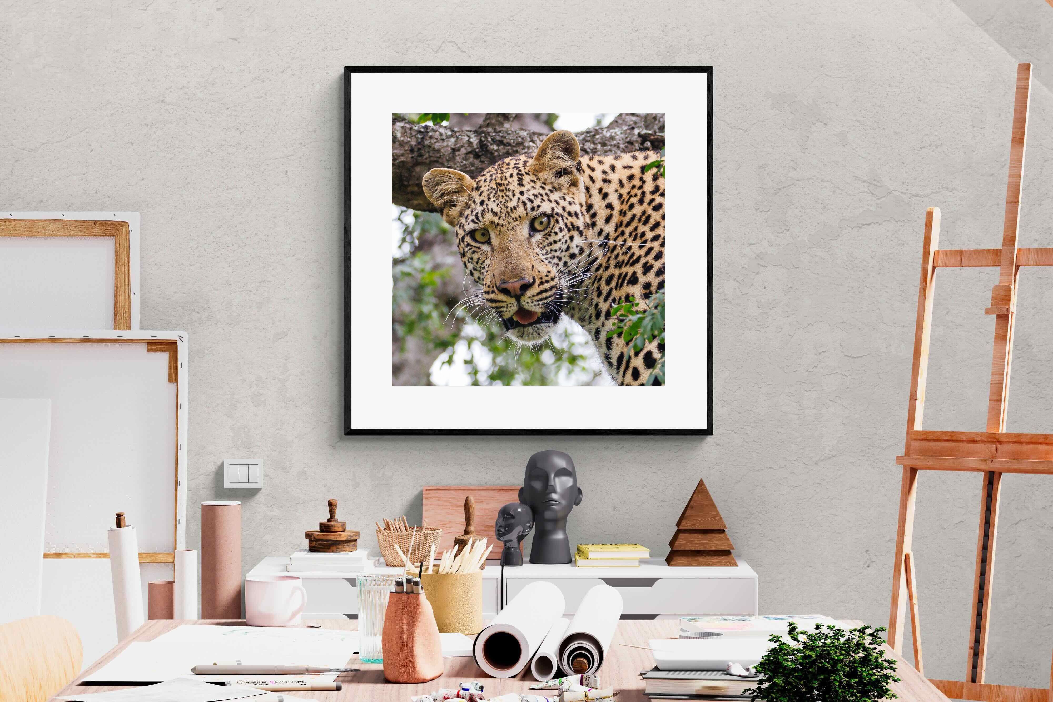 Pixalot ® Wild Gaze