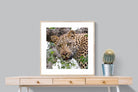 Pixalot ® Wild Gaze