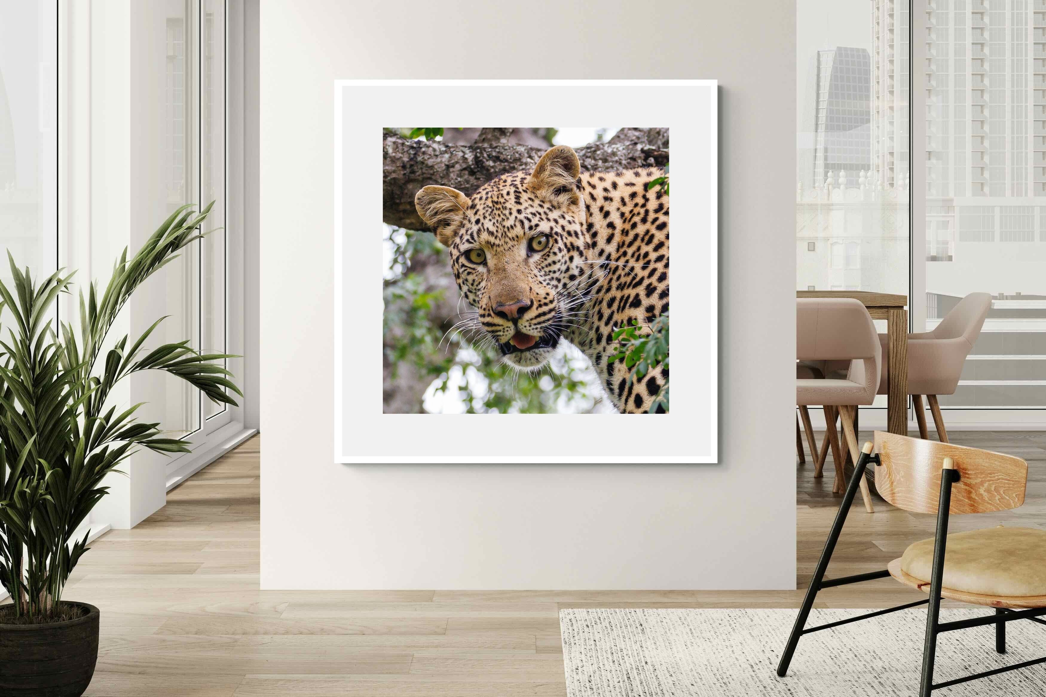 Pixalot ® Wild Gaze