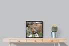 Pixalot ® Wild Gaze