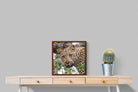 Pixalot ® Wild Gaze