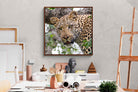 Pixalot ® Wild Gaze