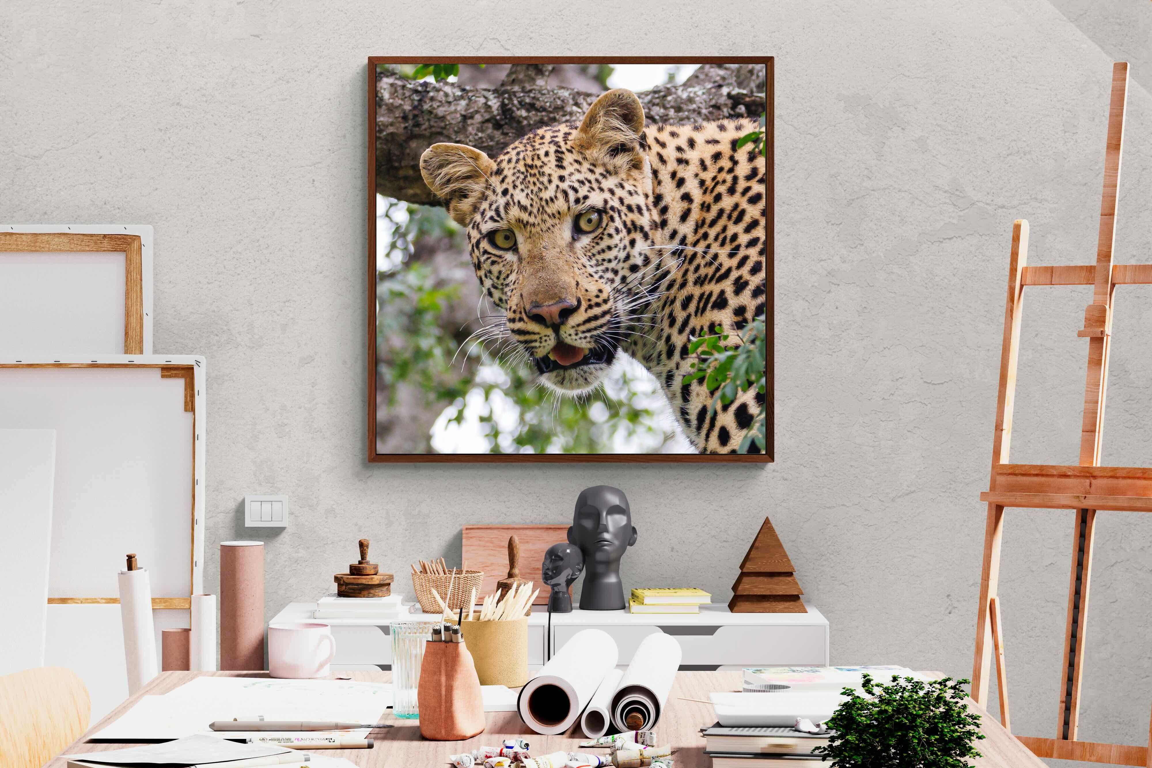 Pixalot ® Wild Gaze