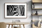 Pixalot ® Zebra Eye