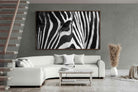 Pixalot ® Zebra Eye