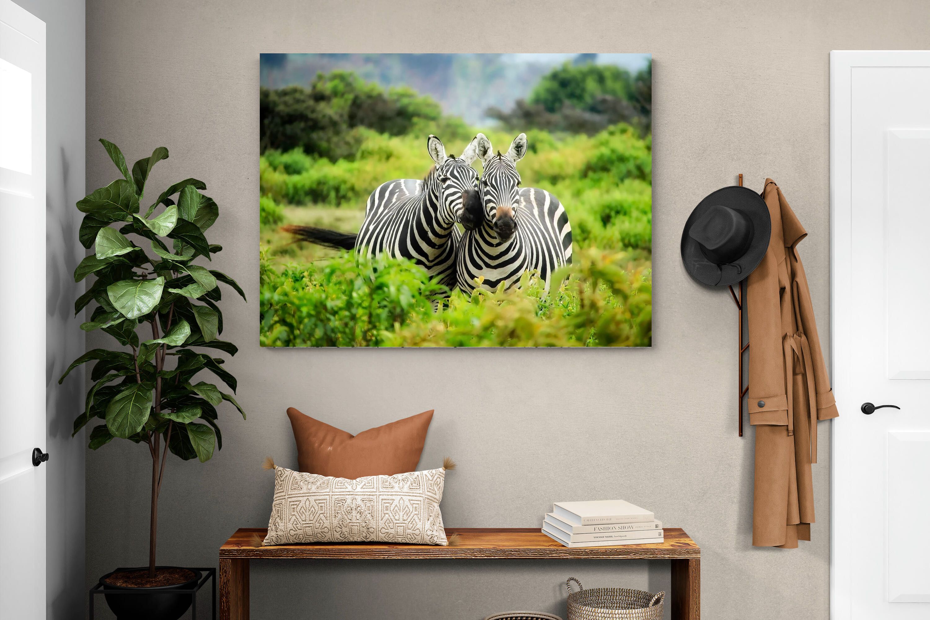 Pixalot ® Zebra Foliage