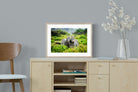 Pixalot ® Zebra Foliage