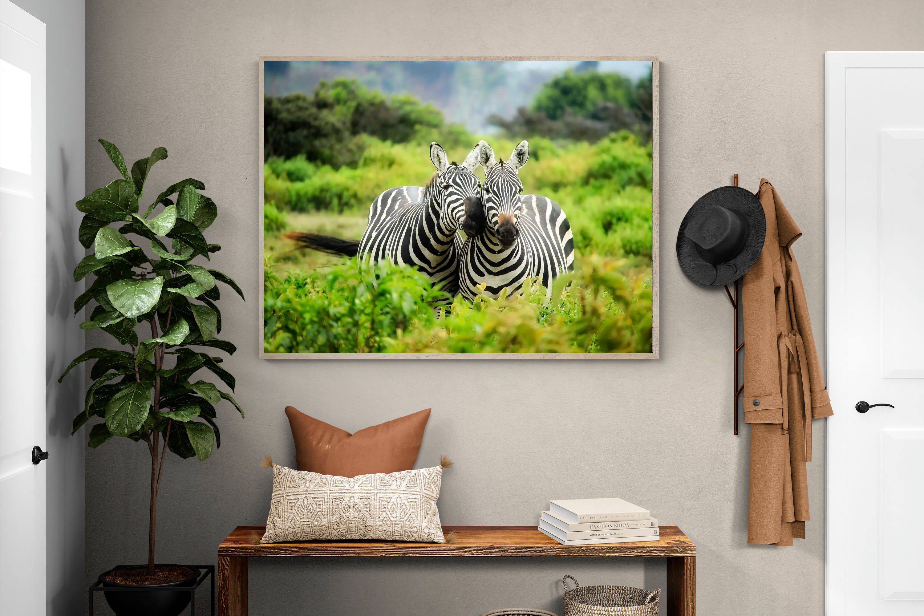 Pixalot ® Zebra Foliage