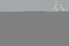 Pixalot ® Zebra Foliage
