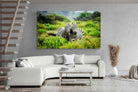 Pixalot ® Zebra Foliage