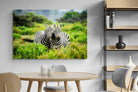 Pixalot ® Zebra Foliage