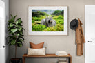 Pixalot ® Zebra Foliage