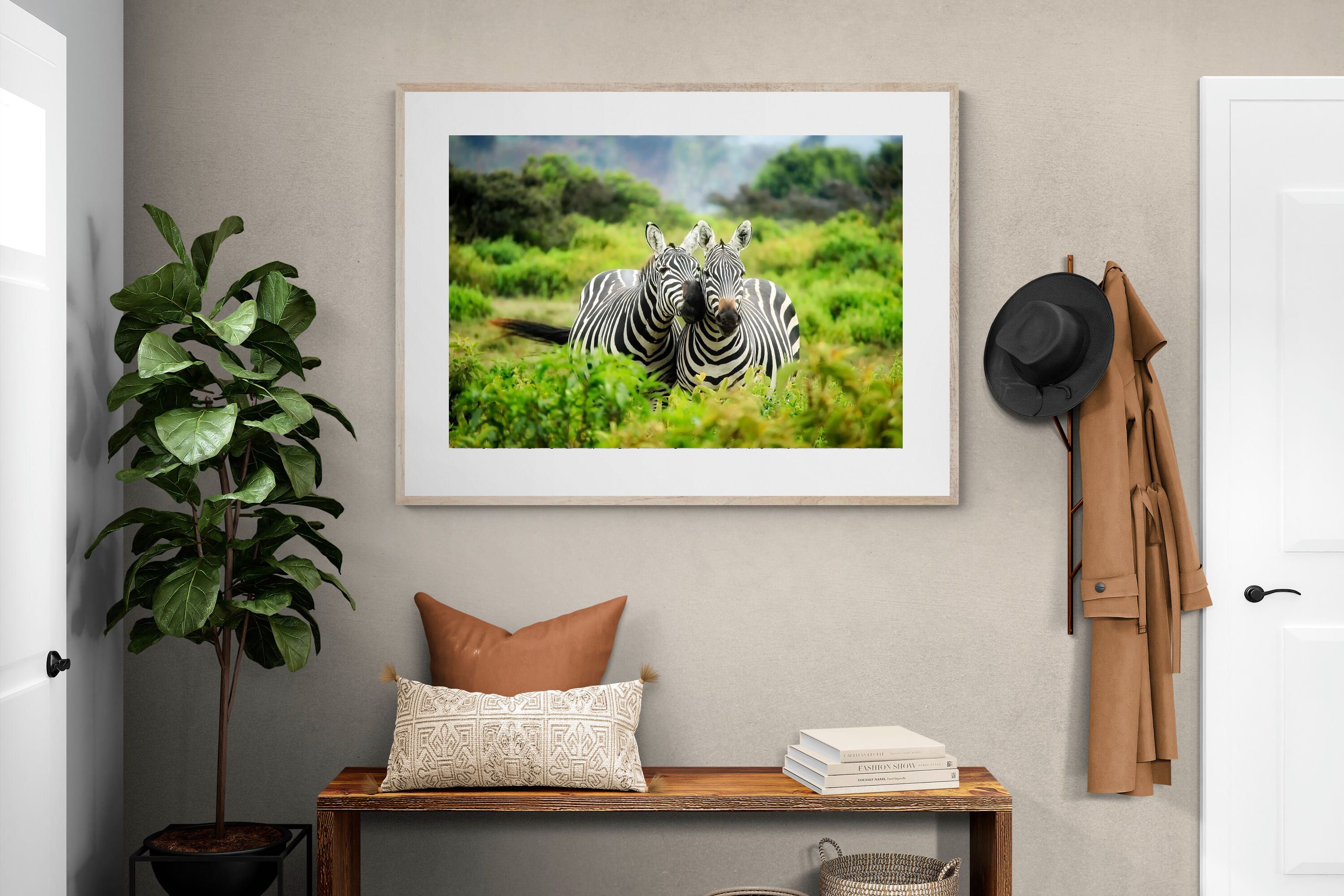 Pixalot ® Zebra Foliage