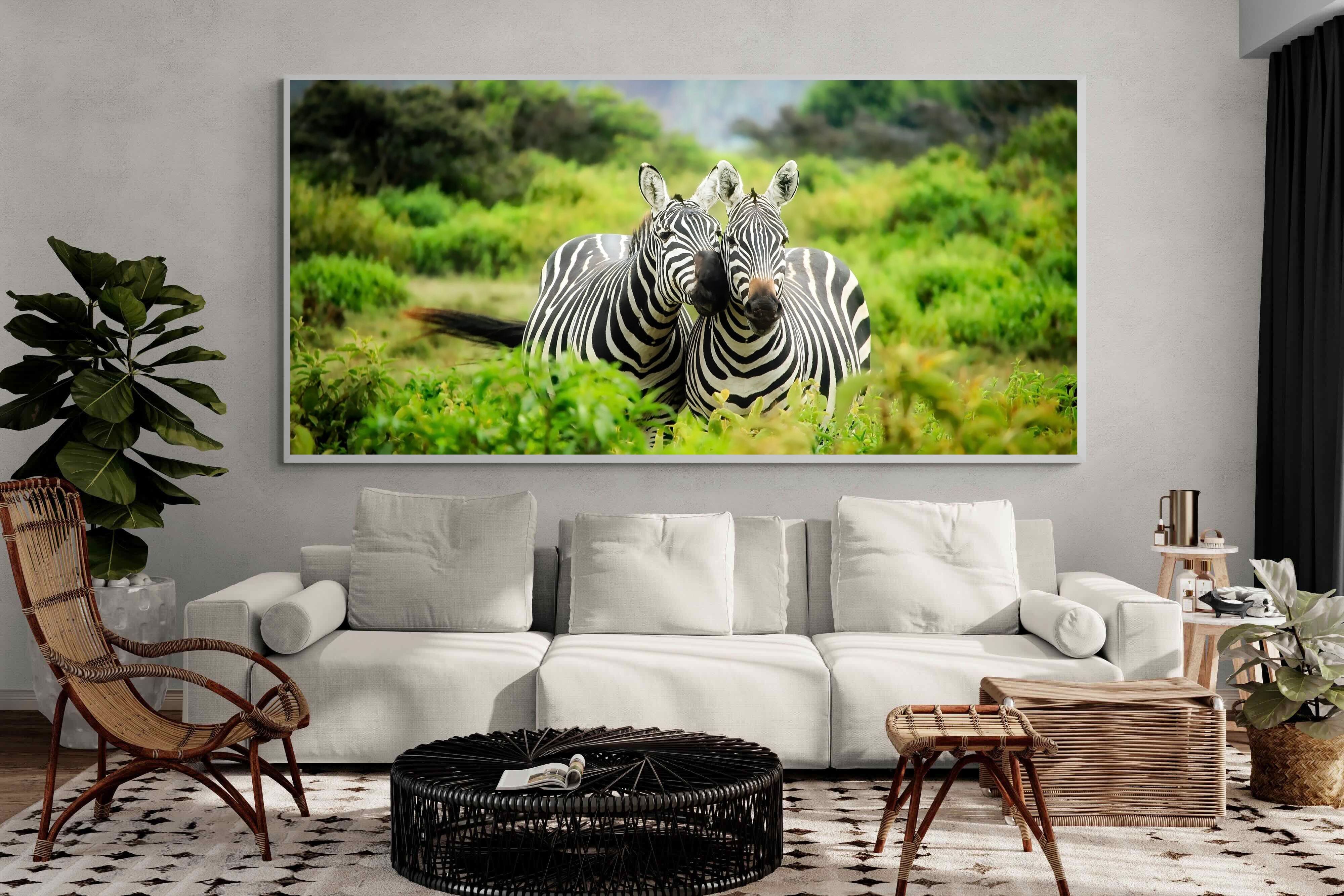 Pixalot ® Zebra Foliage