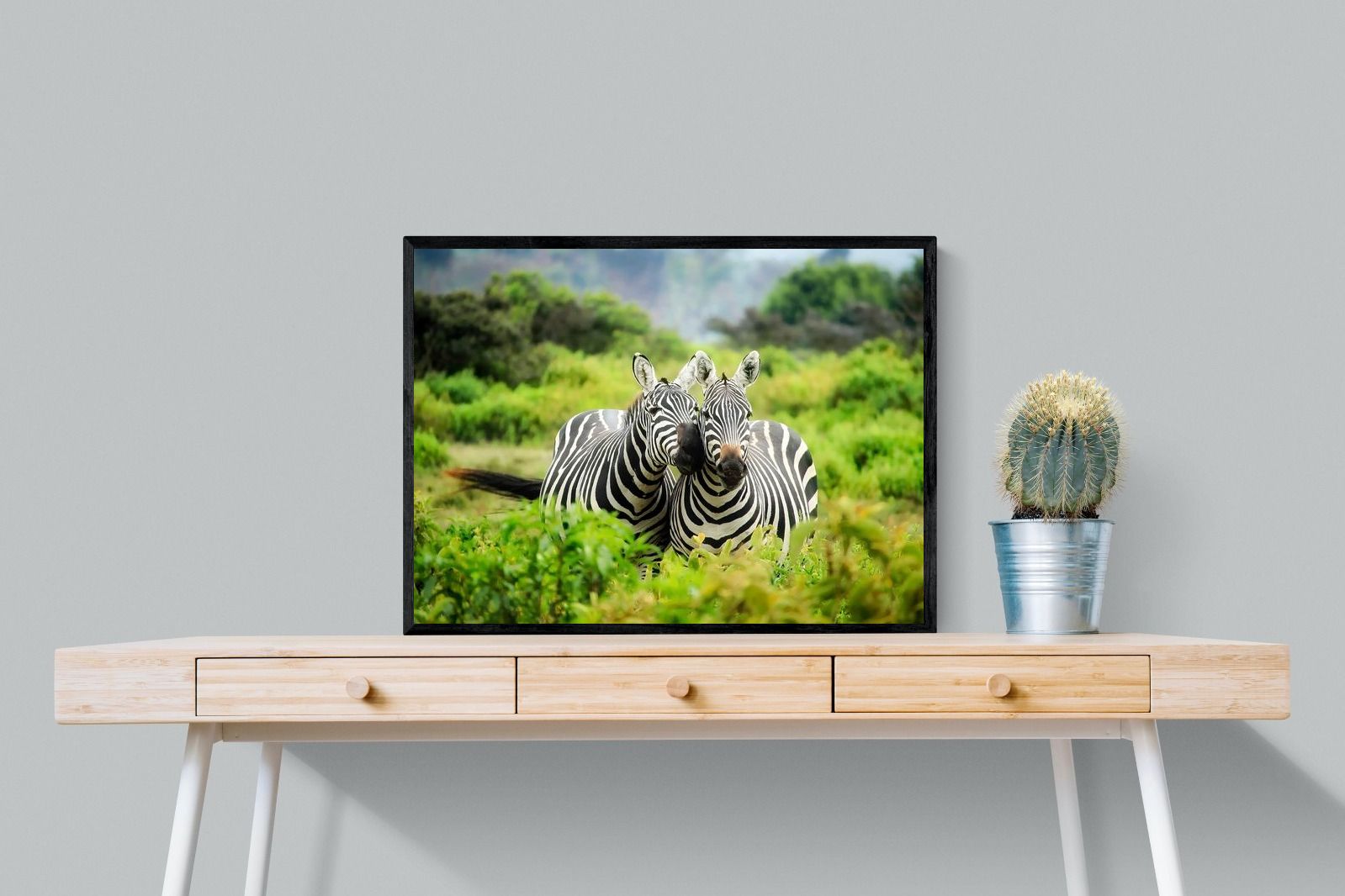 Pixalot ® Zebra Foliage