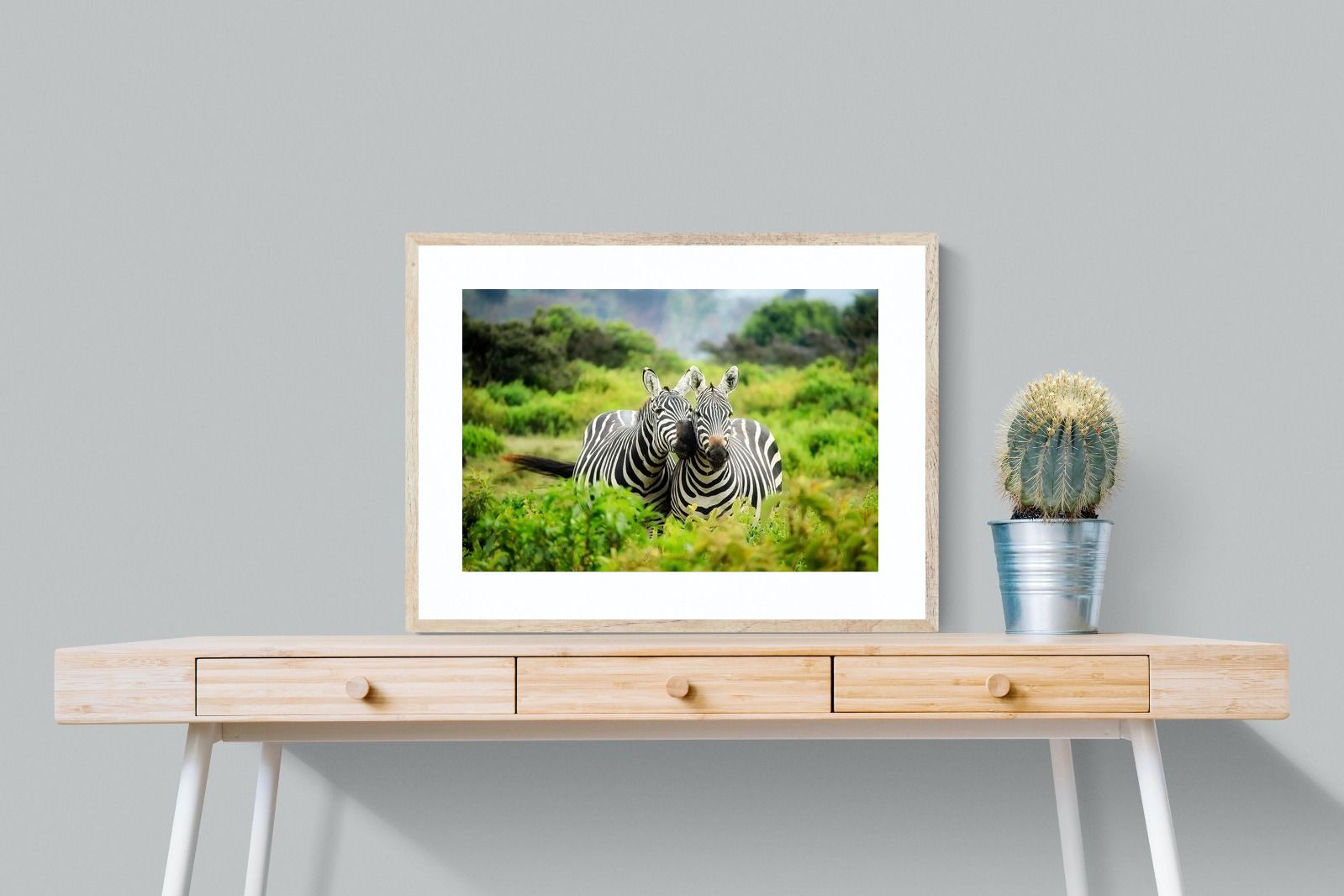 Pixalot ® Zebra Foliage