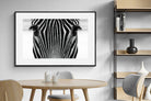 Pixalot Zebra Gaze