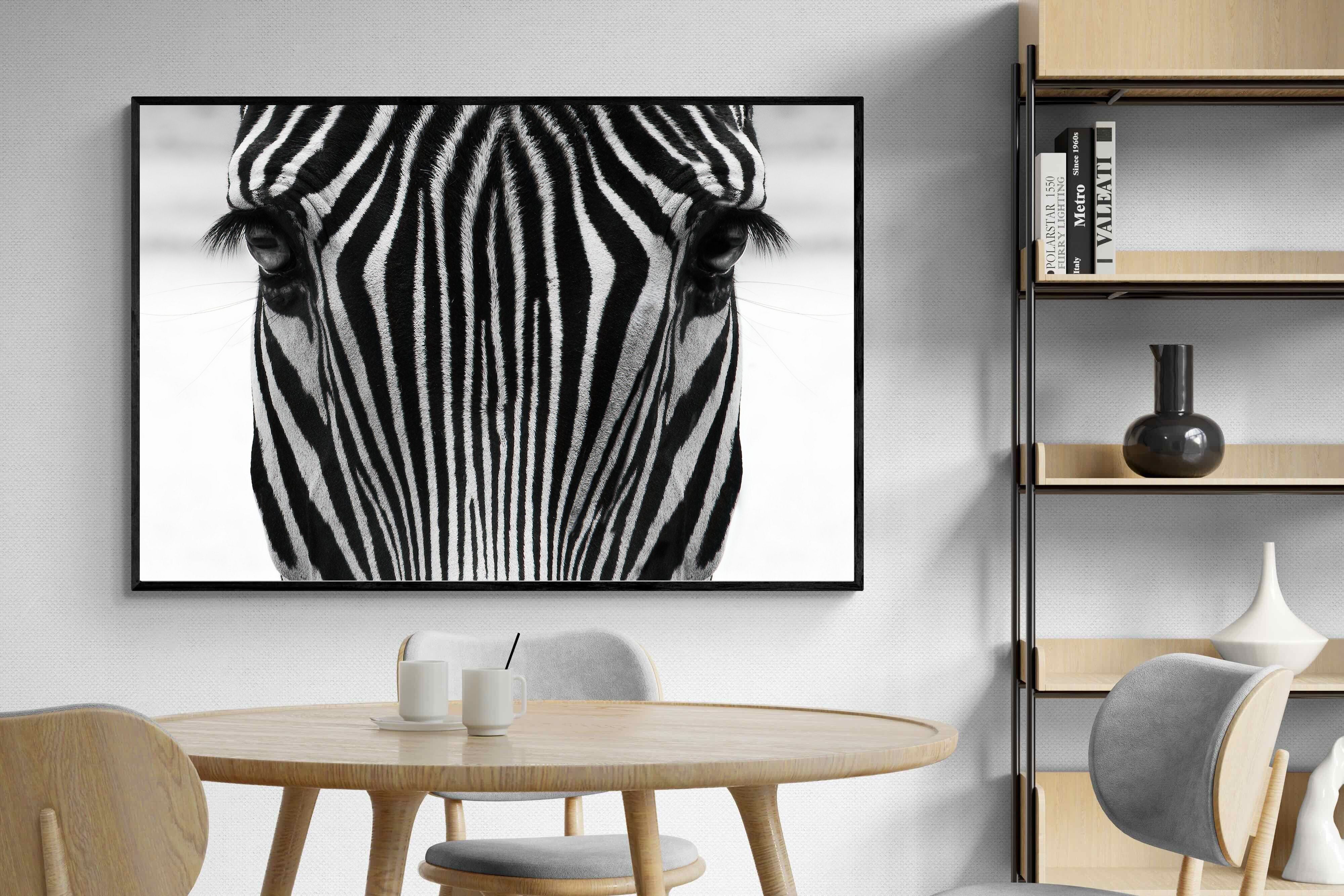 Pixalot Zebra Gaze