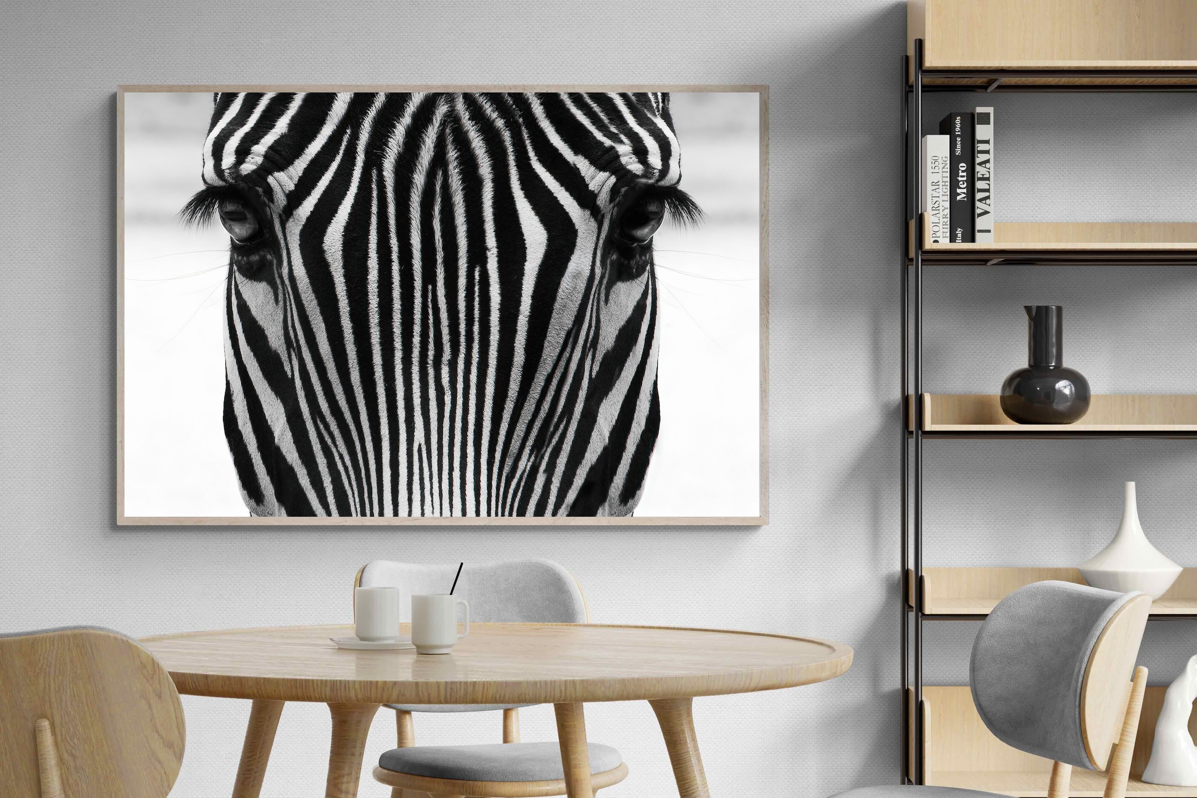 Pixalot Zebra Gaze