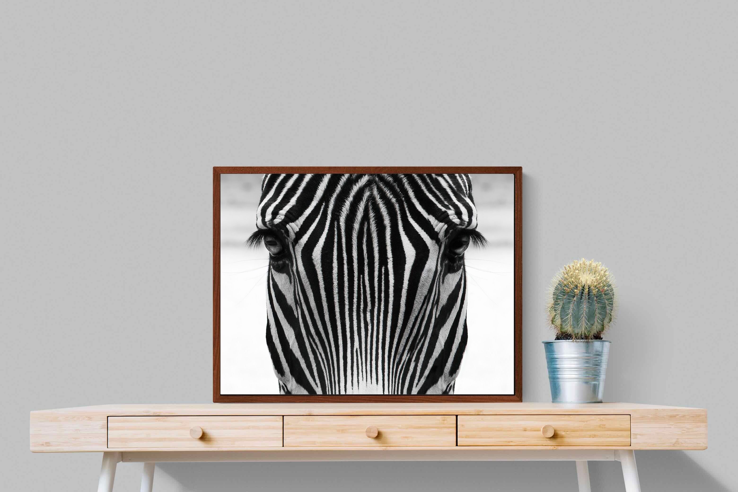 Pixalot Zebra Gaze
