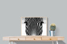 Pixalot Zebra Gaze