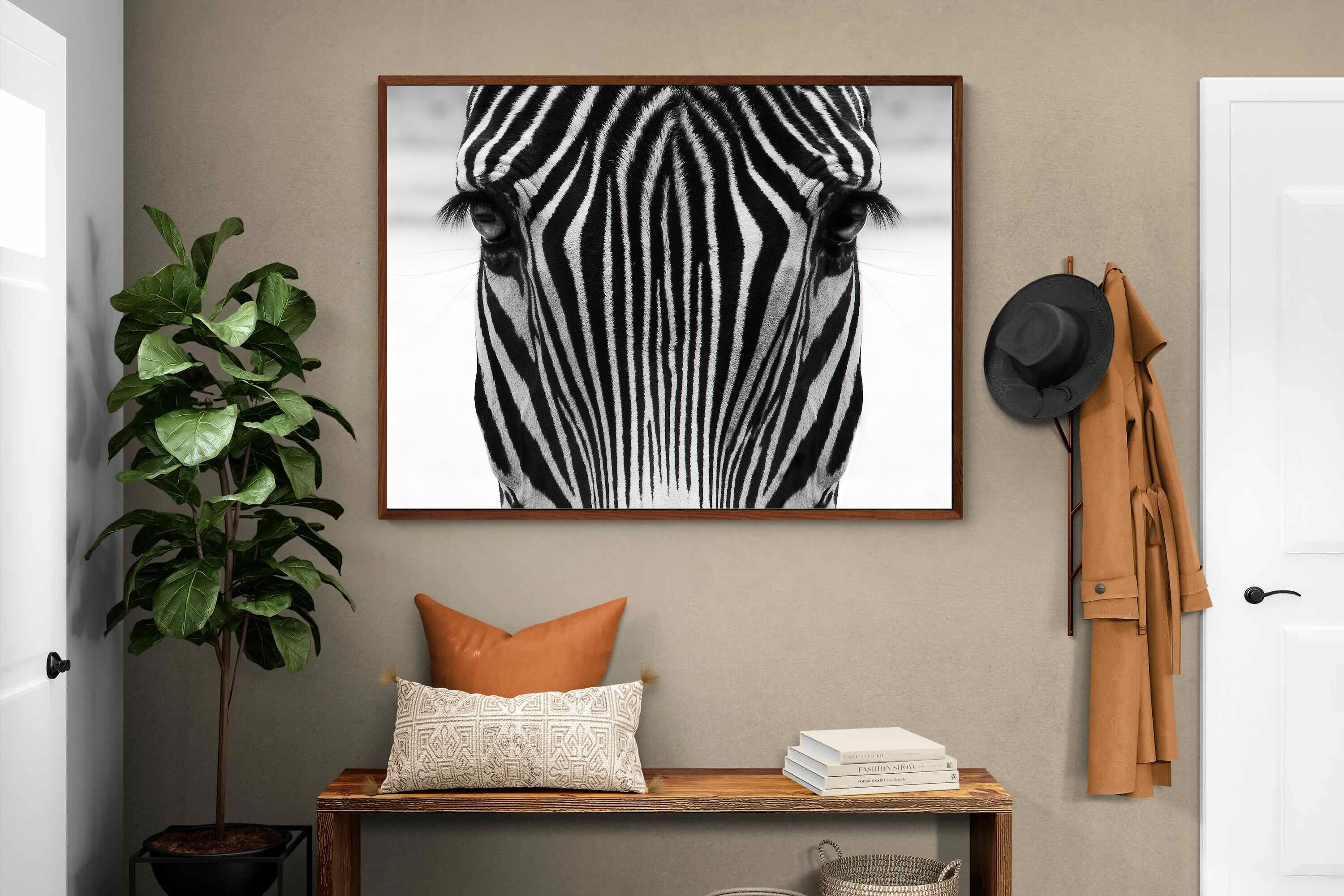 Pixalot Zebra Gaze