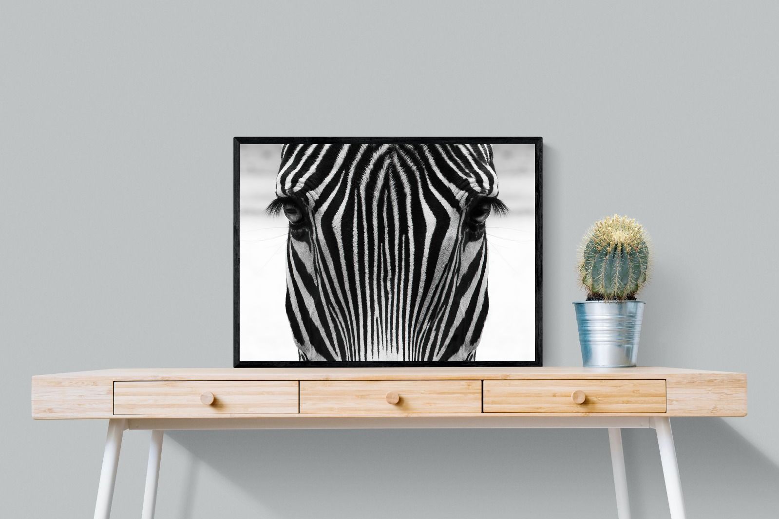 Pixalot Zebra Gaze