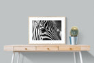 Pixalot ® Zebra