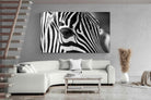 Pixalot ® Zebra