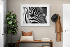 Pixalot ® Zebra