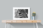 Pixalot ® Zebra