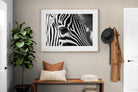 Pixalot ® Zebra