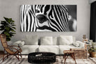 Pixalot ® Zebra