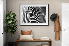 Pixalot ® Zebra