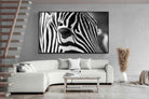 Pixalot ® Zebra
