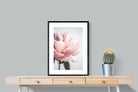 Pixalot ® Plush Peony