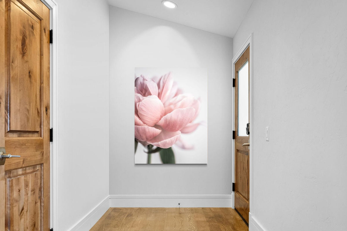 Pixalot ® Plush Peony