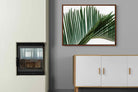 Pixalot ® Pointy Frond