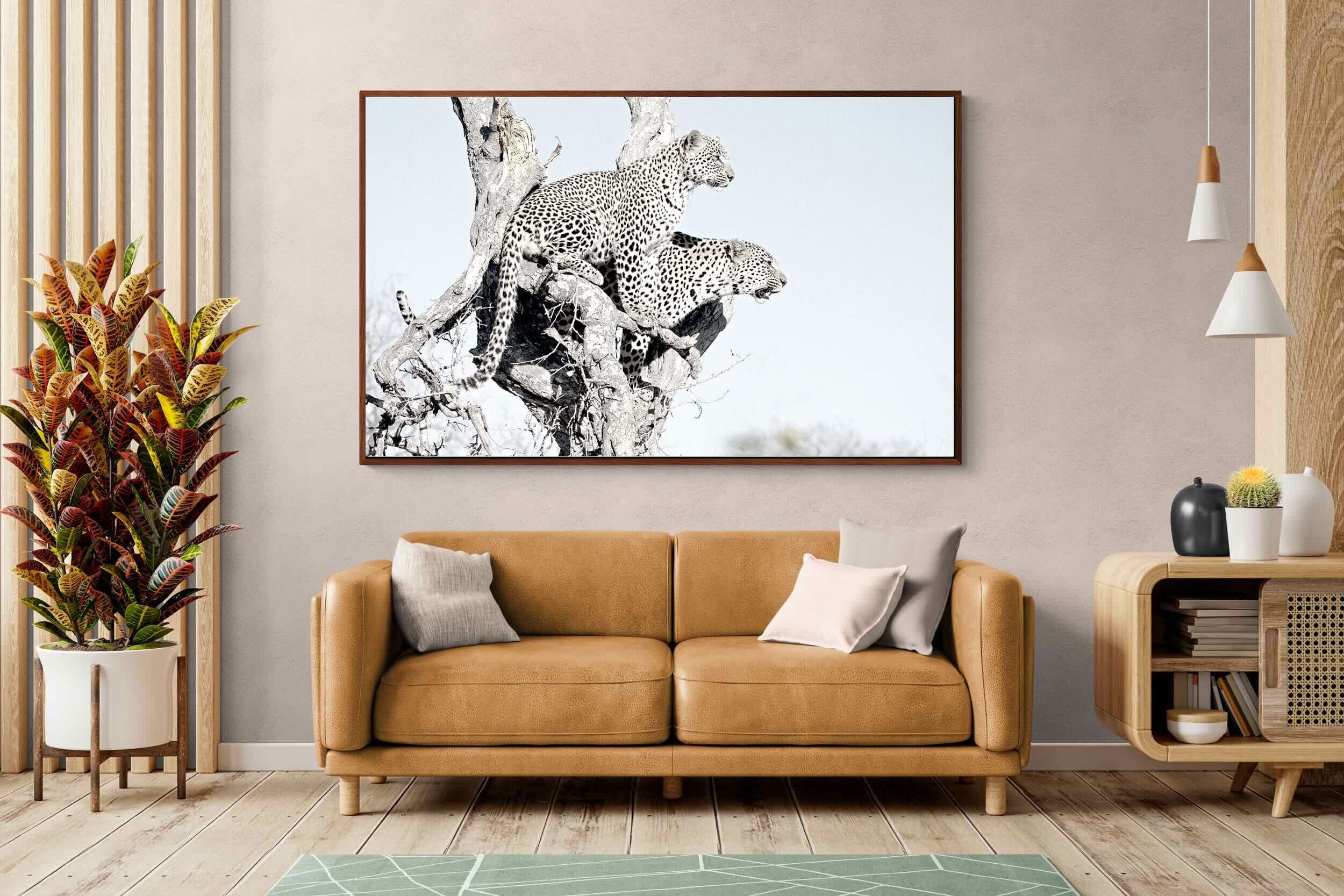 Pixalot Poised Leopards