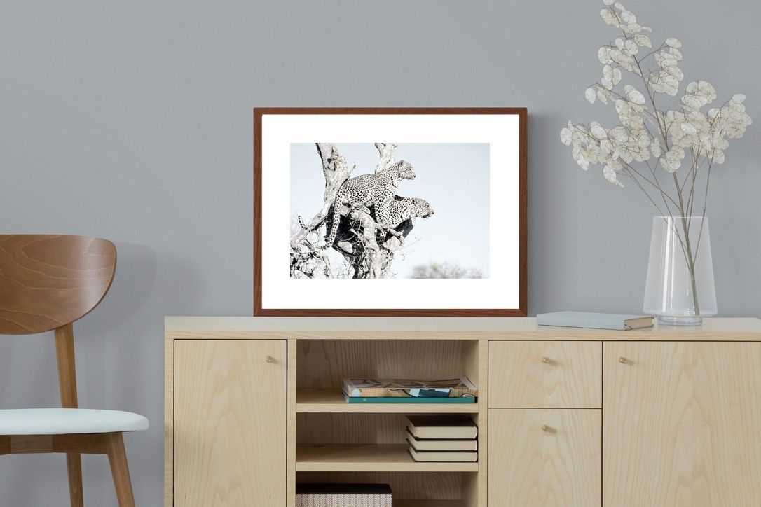 Pixalot Poised Leopards