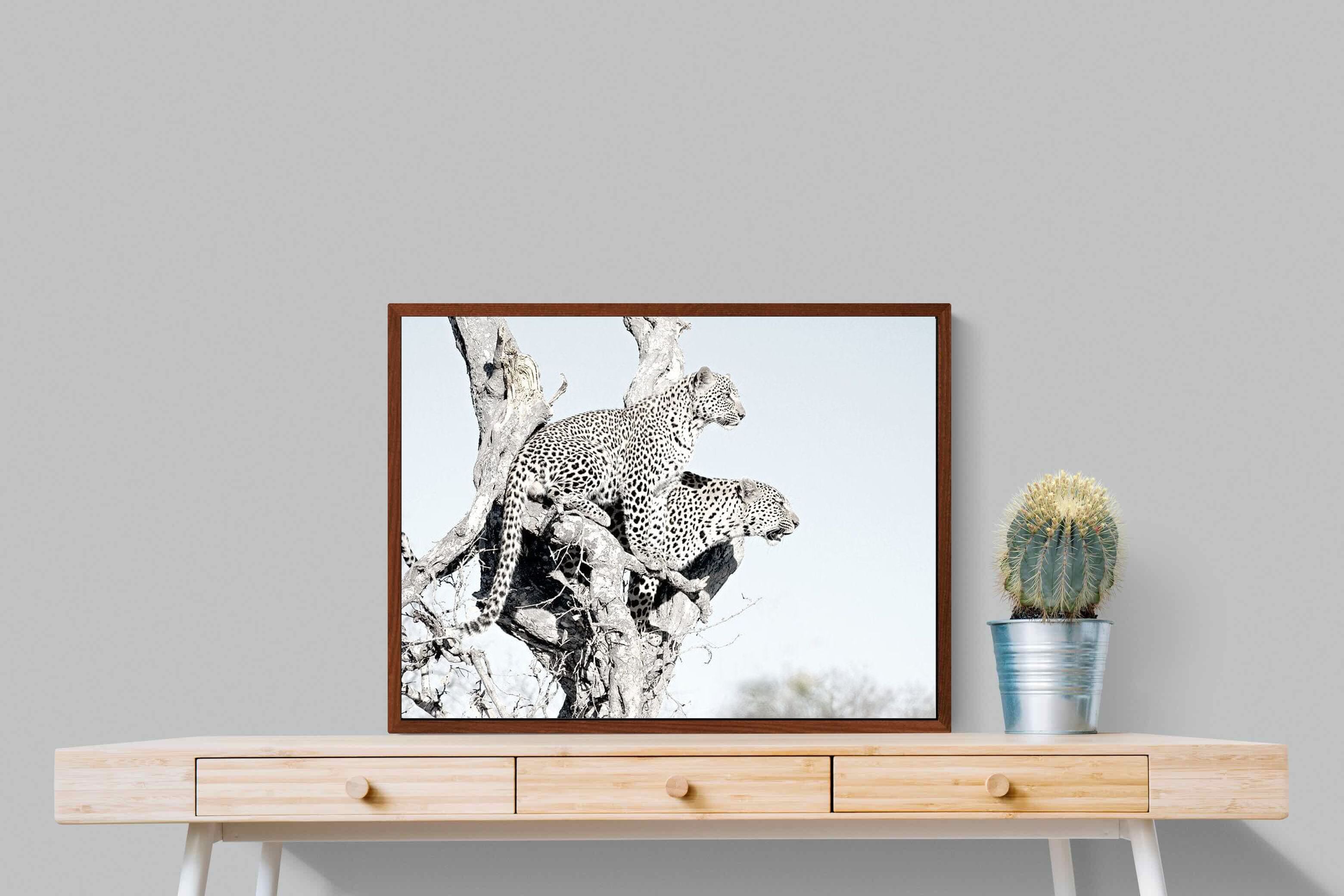 Pixalot Poised Leopards