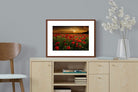Pixalot ® Poppy Fields
