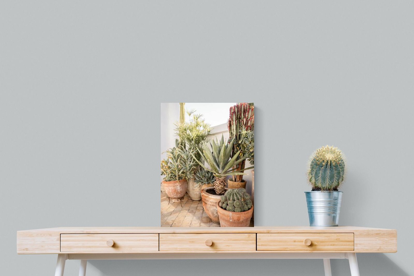Pixalot Potted Succulents