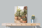 Pixalot Potted Succulents