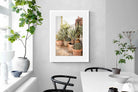 Pixalot Potted Succulents